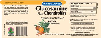 Nature's Answer Glucosamine Plus Chondroitin - supplement