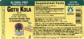 Nature's Answer Gotu Kola Herb Alcohol-Free - herbal supplement