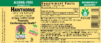 Nature's Answer Hawthorne Berry, Leaf & Flower Alcohol-Free - herbal supplement