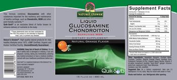 Nature's Answer Liquid Glucosamine Chondroitin Natural Orange Flavor - supplement