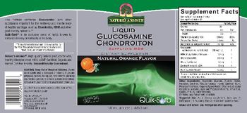 Nature's Answer Liquid Glucosamine Chondroitin Natural Orange Flavor - supplement