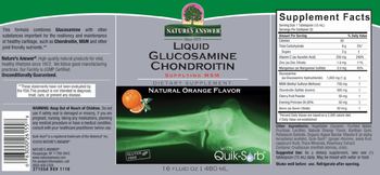 Nature's Answer Liquid Glucosamine Chondroitin Natural Orange Flavor - supplement