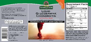 Nature's Answer Liquid Glucosamine Chondroitin Orange Flavored - supplement