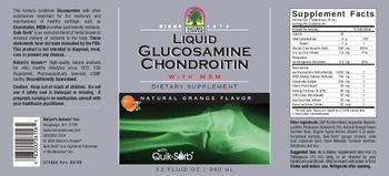 Nature's Answer Liquid Glucosamine Chondroitin With MSM Natural Orange Flavor - 