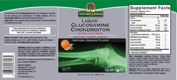 Nature's Answer Liquid Glucosamine Chondroiton Natural Orange Flavor - supplement