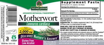 Nature's Answer Motherwort 2,000 mg - herbal supplement