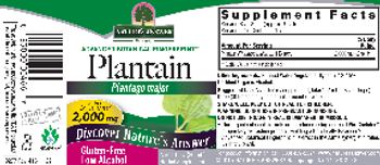 Nature's Answer Plantain 2,000 mg - herbal supplement