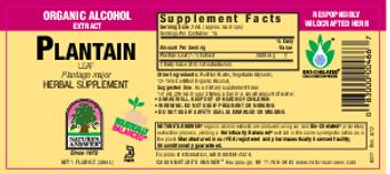 Nature's Answer Plantain Leaf Organic Alcohol - herbal supplement