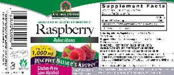 Nature's Answer Raspberry 1,000 mg - herbal supplement