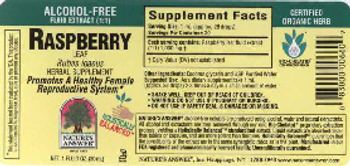 Nature's Answer Raspberry Leaf Alcohol-Free - herbal supplement