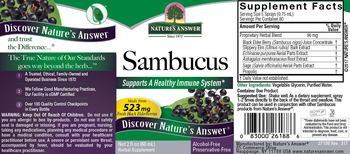 Nature's Answer Sambucus Alcohol-Free - herbal supplement