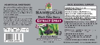 Nature's Answer Sambucus (Nigra) Black Elder Berry Extract Spray - 