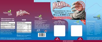 Nature's Gifts Twin MaxiFlex MSM - supplement