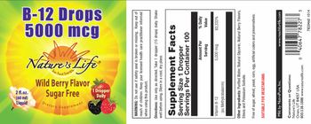 Nature's Life B-12 Drops 5000 mcg Wild Berry Flavor - supplement