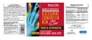 Nature's Plus Advanced Therapeutics Extended Delivery Glucosamine Chondroitin MSM Ultra Rx-Joint Triple Stength - supplement