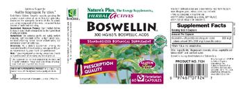 Nature's Plus Herbal Actives Boswellin 300mg/65% Boswellin - standardized botanical supplement