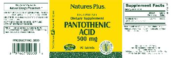 Nature's Plus High Potency Pantothenic Acid 500 mg - supplement