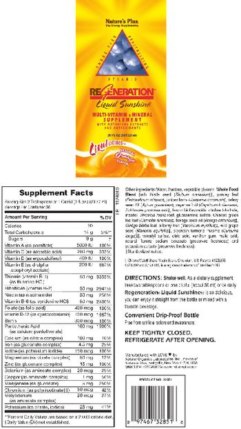 Nature's Plus ReGeneration Liquid Sunshine Natural Orange Flavor - multivitamin mineral supplement