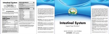 Nature's Sunshine Intestinal System Psyllium Hulls - supplement