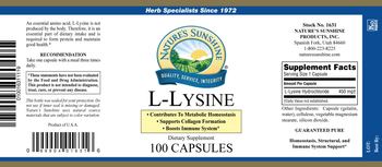 Nature's Sunshine L-Lysine - supplement