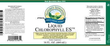 Nature's Sunshine Liquid Chlorophyll ES - supplement