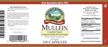 Nature's Sunshine Mullein 290 mg - herbal supplement