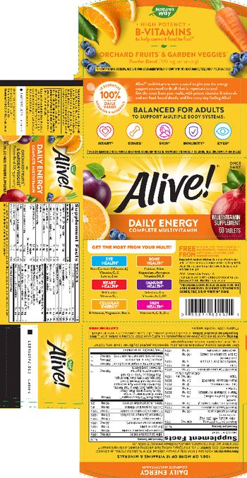 Nature's Way Alive! Daily Energy Complete Multivitamin - multivitamin supplement