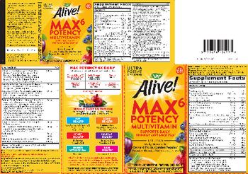 Nature's Way Alive! Max 6 Daily Potency Multivitamin No Added Iron - complete multivitamin supplement