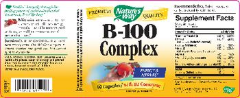Nature's Way B-100 Complex with B2 Coenzyme - supplement