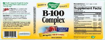 Nature's Way B-100 Complex - supplement