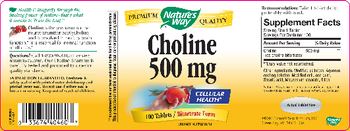 Nature's Way Choline 500 mg - supplement