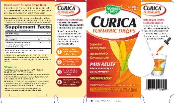 Nature's Way Curica Turmeric Drops Orange Flavor - supplement