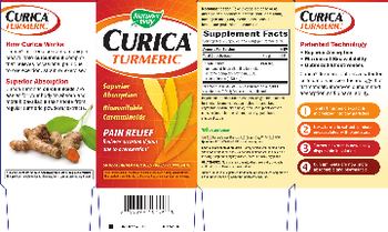 Nature's Way Curica Turmeric - supplement