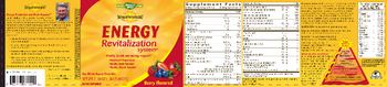 Nature's Way Fatigued to Fantastic! Energy Revitalization System Berry Flavored - supplement