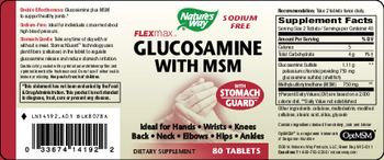 Nature's Way FlexMax Glucosamine with MSM - supplement