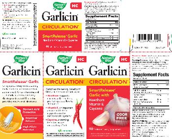 Nature's Way Garlicin Circulation - supplement