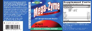 Nature's Way Mega-Zyme - supplement