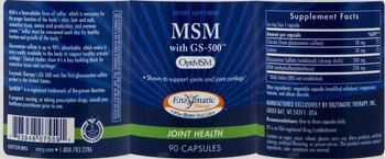 Nature's Way MSM With GS-500 - supplement