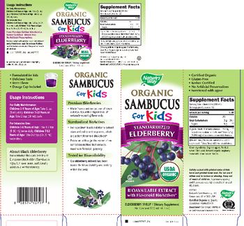 Nature's Way Organic Sambucus for Kids Berry Flavor - supplement