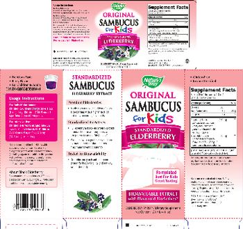 Nature's Way Original Sambucus for Kids Berry Flavor - supplement