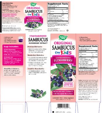 Nature's Way Original Sambucus for Kids Berry Flavor - supplement