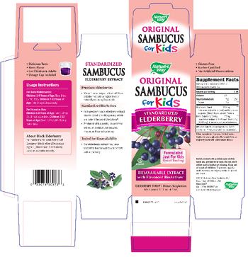 Nature's Way Original Sambucus for Kids - supplement