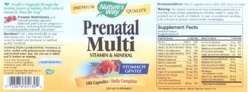 Nature's Way Prenatal Multi Vitamin & Mineral - supplement