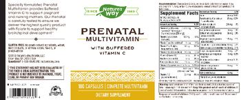 Nature's Way Prenatal Multivitamin - supplement