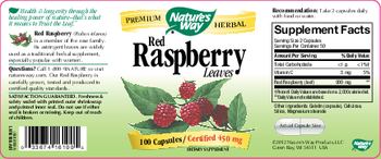 Nature's Way Red Raspberry Leaves - supplement