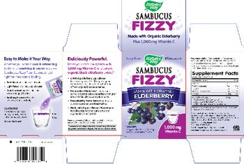 Nature's Way Sambucus Fizzy Berry Flavor - supplement drink mix