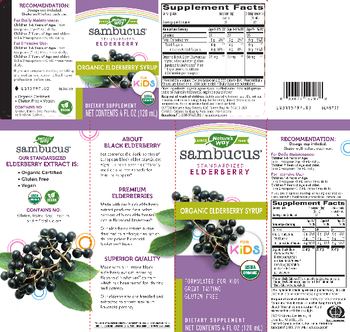 Nature's Way Sambucus for Kids Organic Elderberry - supplement