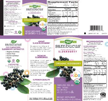 Nature's Way Sambucus for Kids Organic Elderberry - supplement