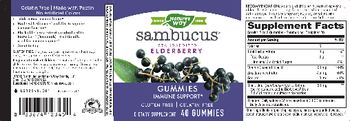 Nature's Way Sambucus Gummies - supplement