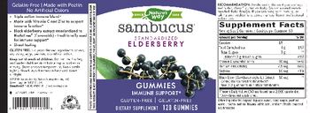 Nature's Way Sambucus Gummies - supplement